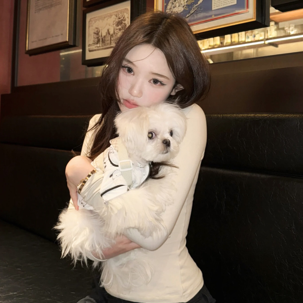 Fancy Ice Cream Cupcakes